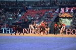 Cavalry - 00103